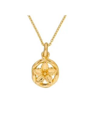 Argent Collier avec pendentif ZH-6029/1