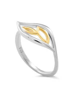 Charlotte Argent Bague ZR-7523
